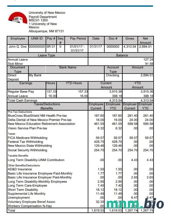University of New Mexico pay stub Word and PDF template